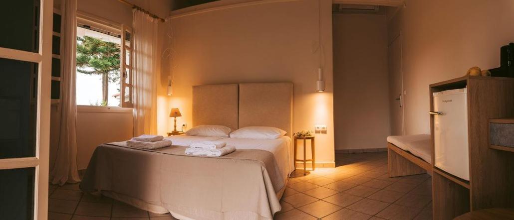 Villa Kastri Apartments Vassiliki Esterno foto