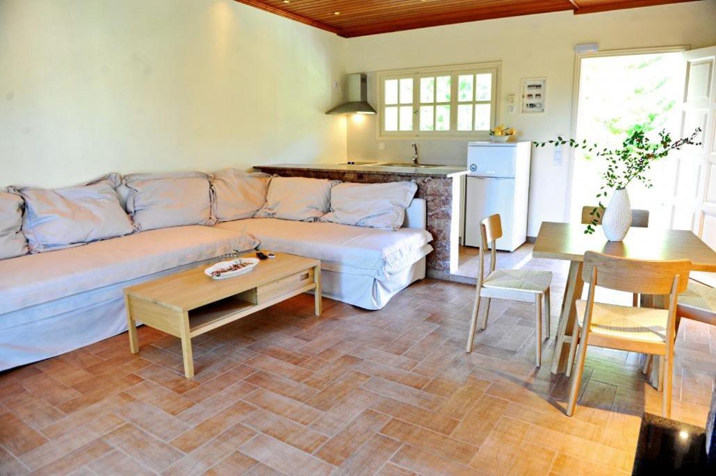 Villa Kastri Apartments Vassiliki Esterno foto